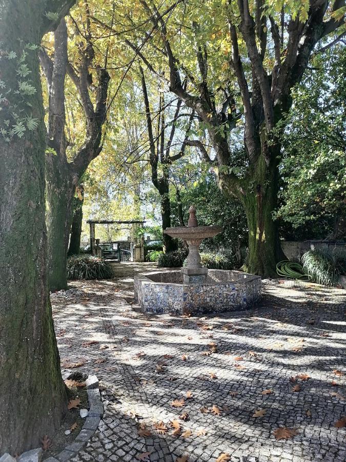 Camelia Rooms Guimarães Exterior foto